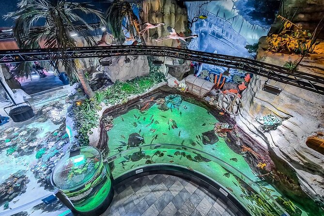 Dubai Aquarium UnderwaterZoo and Penguin cove Admission Ticket - Who will get the most from this aquarium visit?