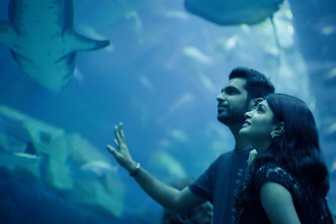 Dubai Aquarium with Various Animal Encounter and Access Options - How the timed entry actually works