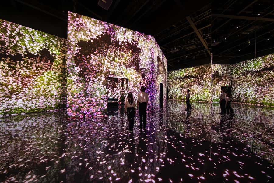 Dubai: Arte Immersive Museum Entry Ticket - Who should book this museum?