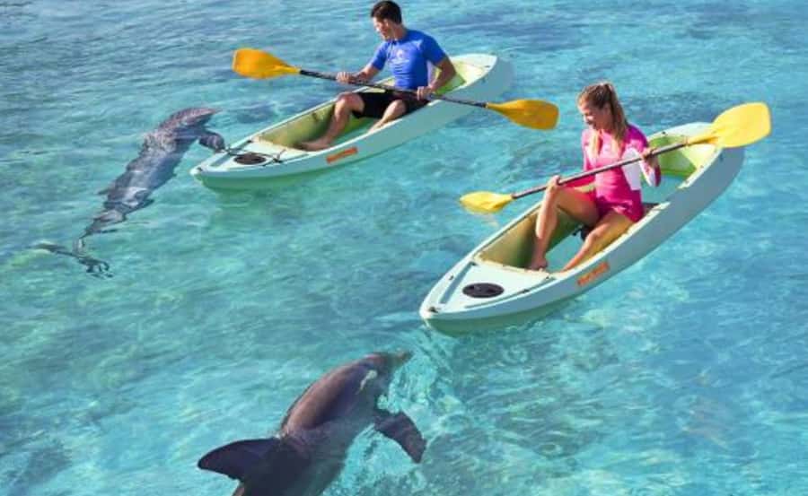 Dubai: Atlantis Dolphin Kayak Trip & Aquaventure Waterpark - Starting at Dolphin Bay Lagoon