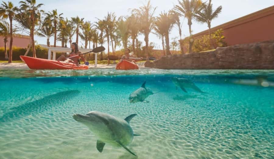 Dubai: Atlantis Dolphin Kayak Trip & Aquaventure Waterpark - What to bring and what to leave behind