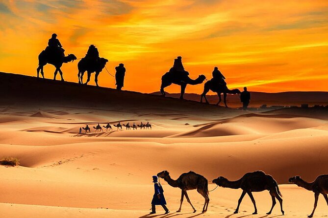 Dubai ATV Quadbike Desert Safari with Camel Ride Sand Boarding - Key points before you book
