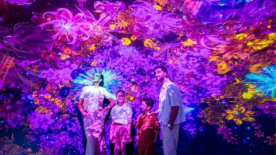 Dubai: AYA Universe Entry Ticket - Is the $36 ticket good value?