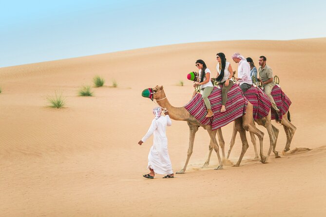 Dubai: Bedouin Culture Safari - Why this safari offers more than a standard desert outing