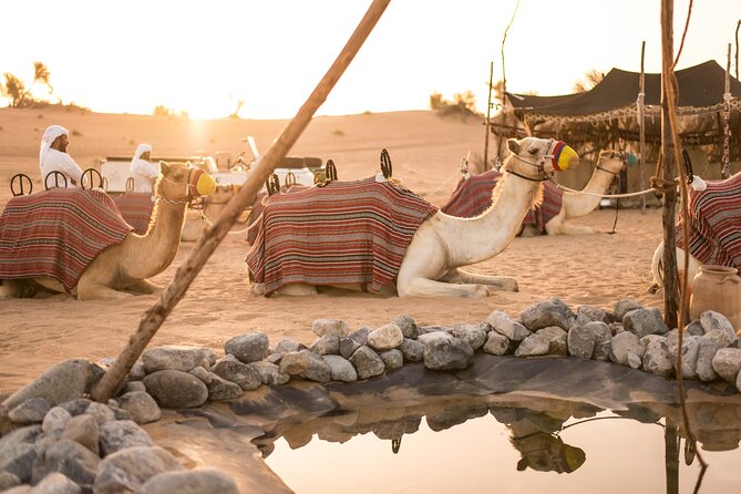 Dubai: Bedouin Culture Safari - A short camel ride to the Bedouin village