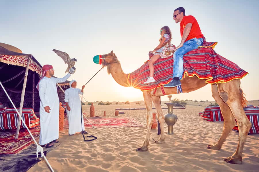 Dubai: Big Bus Hop-On Hop-Off Tour & Optional Dhow Cruise - Who should book this Dubai bus tour?