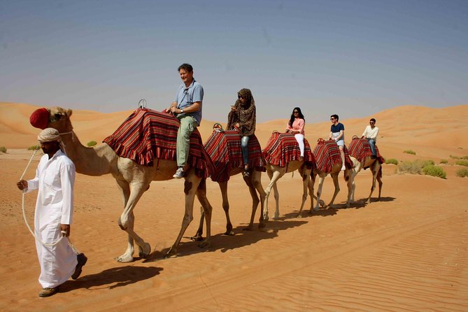 Dubai: Buggy Dune Bashing, Sand Boarding, Camel Ride & Show - Taking the wheel on Dubai’s red dunes