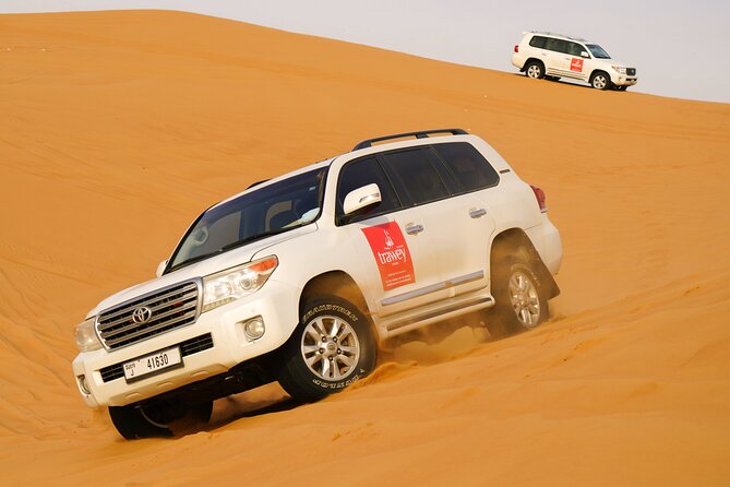 Dubai Buggy Tour in red sands and Desert Safari - The guides can shape the whole morning