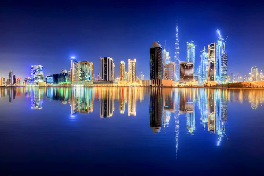Dubai by Night City Tour with Fountain Show - Dubai Mall and the fountain finale