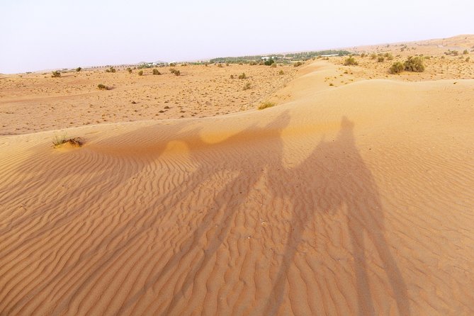 Dubai Camel Desert Safari, Traditional Meal & Heritage Activities - Why this safari feels different from a standard desert outing