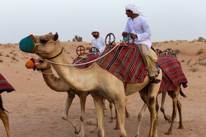 Dubai Camel Desert Safari, Traditional Meal & Heritage Activities - Four courses of Emirati food