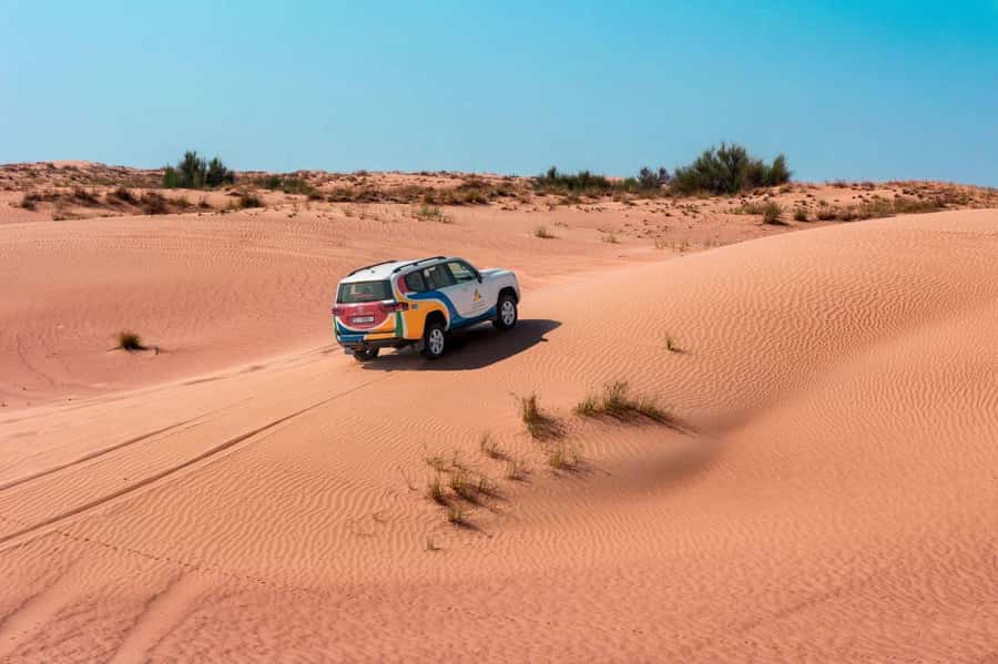 Dubai: Camel Safari, Wildlife & Lakeside Breakfast - A calm alternative to Dubai’s louder desert safaris