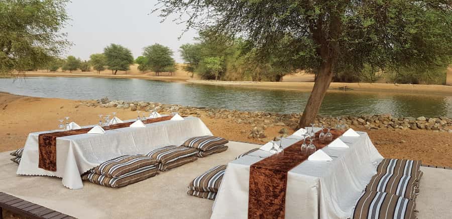 Dubai: Camel Safari, Wildlife & Lakeside Breakfast - Breakfast beside a desert lake