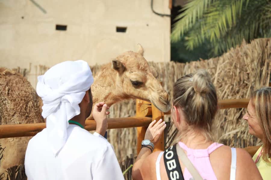 Dubai: City Highlights Private Layover Tour with Transfer - Should you book this Dubai layover tour?