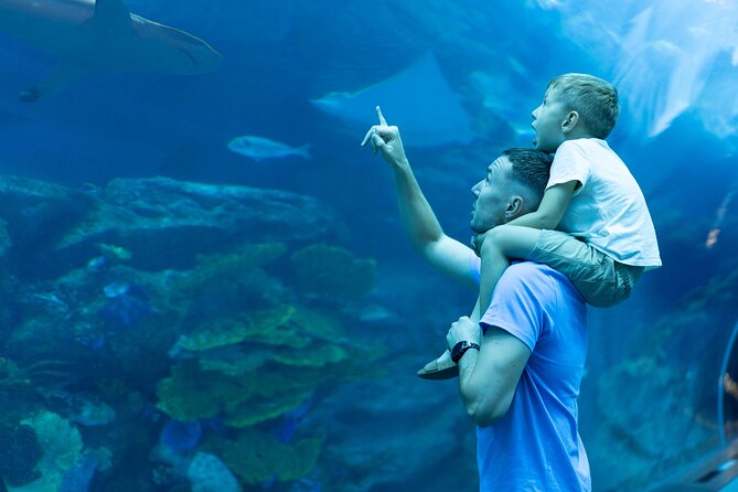 Dubai City Pass: all inclusive Pass with Hop On Hop Off & tours - Add Dubai Garden Glow or iFly for a change of pace