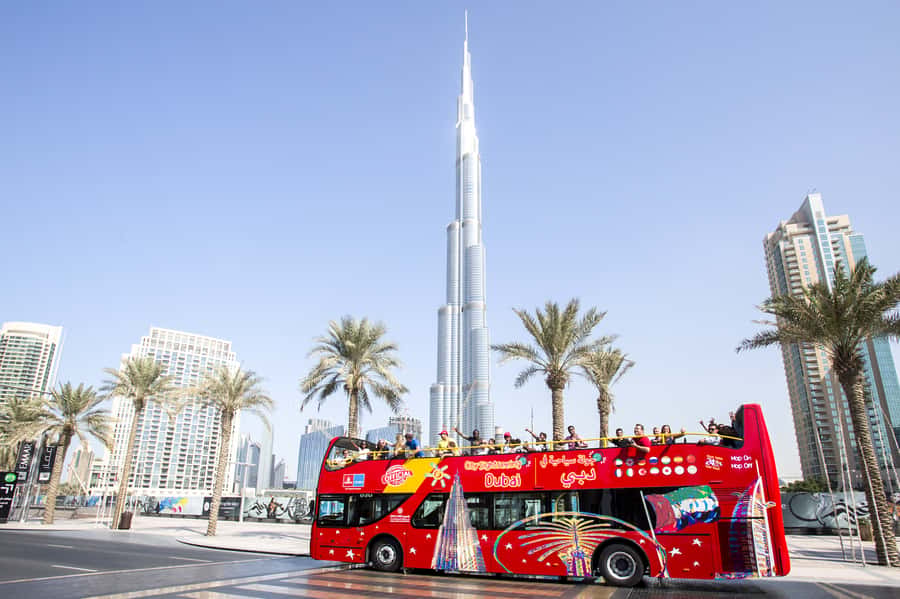 Dubai: City Sightseeing HOHO Bus Tour + Sunset & Night Tour - Blue Route: Palm Jumeirah, Marina, and the beach