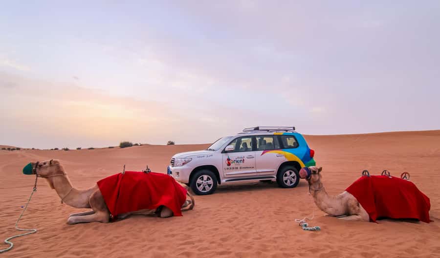 Dubai: City Tour and Desert Experience with Fun Activities - Sunset performances and the BBQ camp dinner
