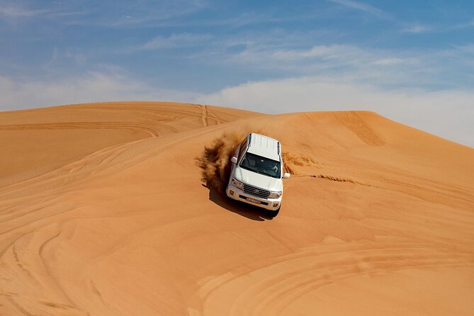 Dubai City Tour and Evening Desert Safari Combo - A practical two-day look at Dubai