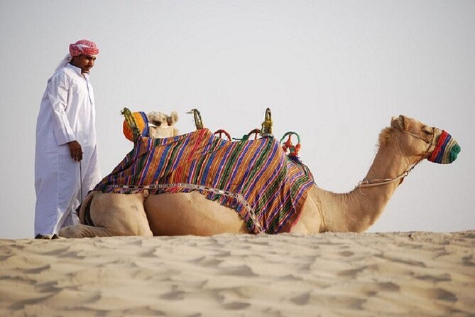 Dubai City Tour and Evening Desert Safari Combo - Al Khayma Heritage House in Al Fahidi