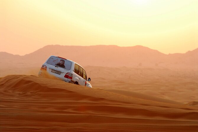 Dubai City Tour and Evening Desert Safari Combo - Into the Lahbab Red Dunes