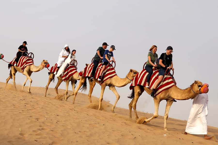 Dubai City Tour and Evening Desert Safari Combo - Stargazing after the camp activities