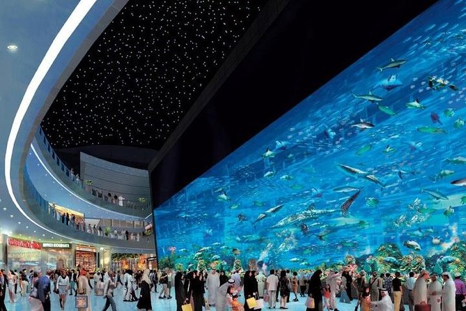 Dubai City tour from Abu Dhabi - Two hours at Dubai Mall, with lunch on your own