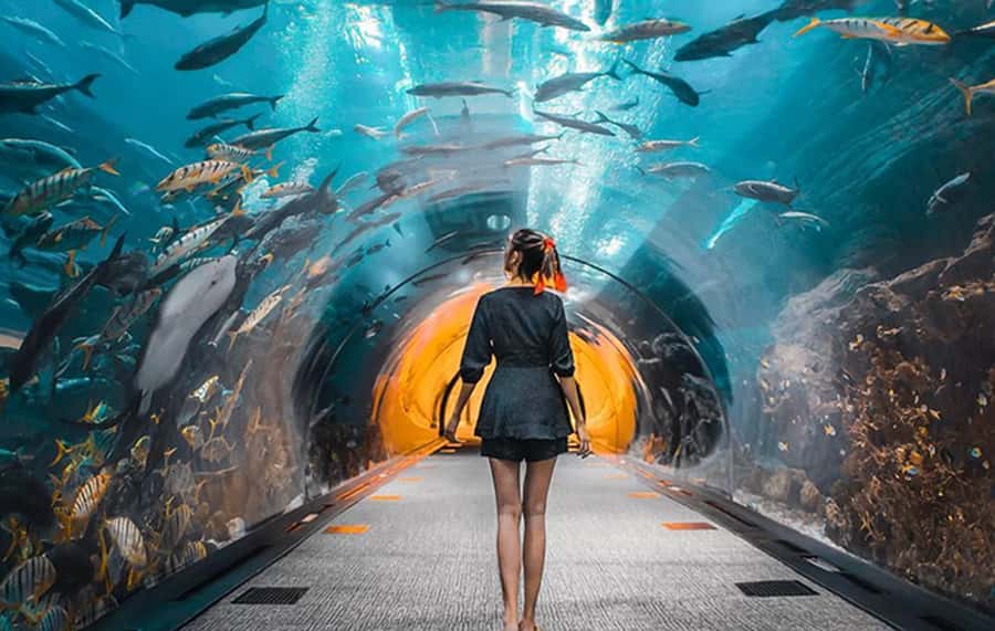 Dubai: City Tour with Burj Khalifa and Underwater Zoo Ticket - Starting in an air-conditioned private vehicle