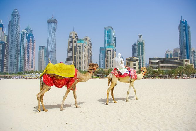 Dubai City Tour with Burj Khalifa at the top entry - The Burj Khalifa at floors 124 and 125
