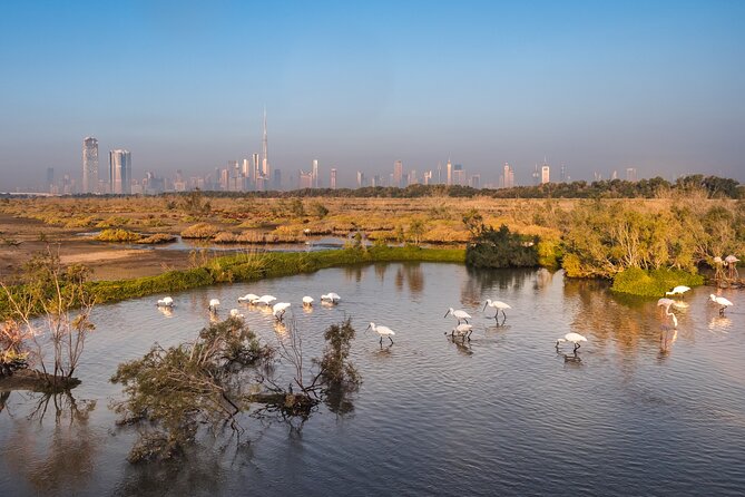 Dubai City Tour with Burj Khalifa - Zabeel Palace and the modern royal city