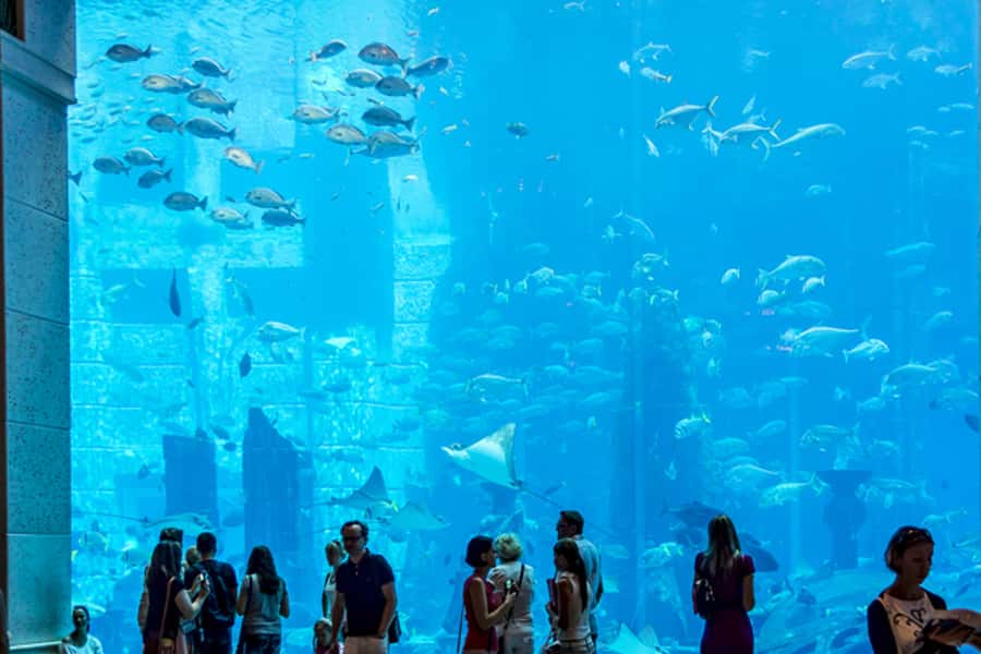 Dubai Combo: Morning City Tour & Evening Desert Safari - Key points to know before booking