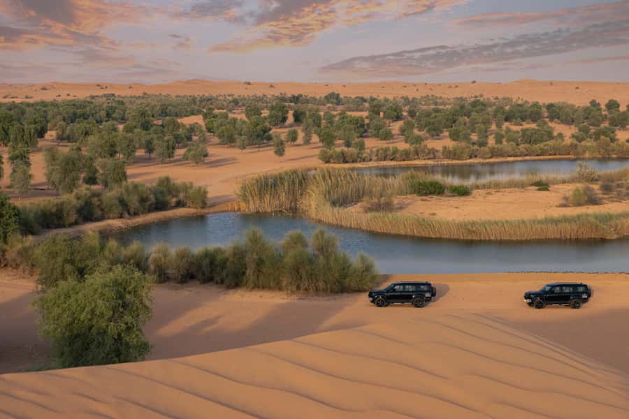 Dubai: Conservation Drive & Platinum Breakfast - A quiet start in Dubai’s desert