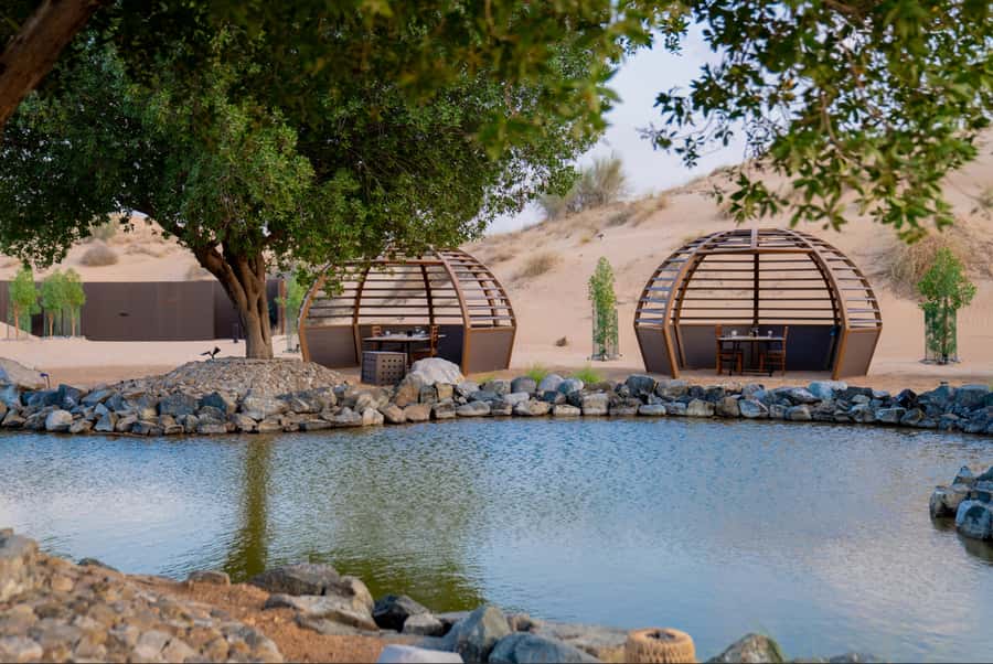 Dubai: Conservation Drive & Platinum Breakfast - A short camel ride, not a long camel trek