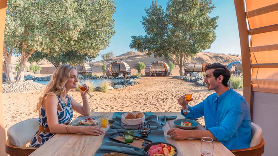 Dubai: Conservation Drive & Platinum Breakfast - What the $189 price really covers