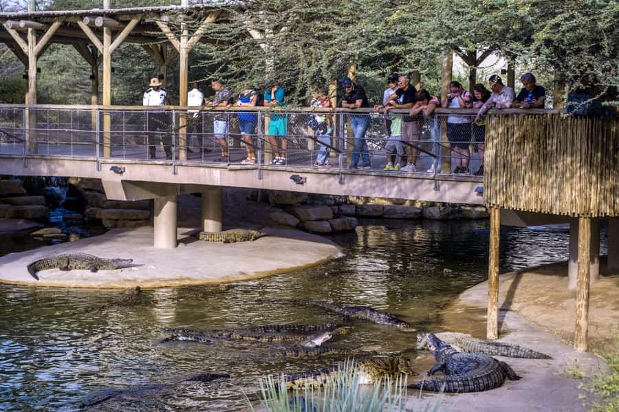 Dubai Crocodile Park Ticket - Who will enjoy Dubai Crocodile Park most