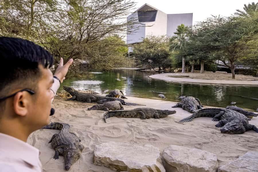 Dubai Crocodile Park Ticket - Practical advice before you go