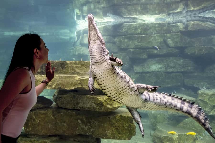 Dubai Crocodile Park Ticket - Should you book Dubai Crocodile Park?