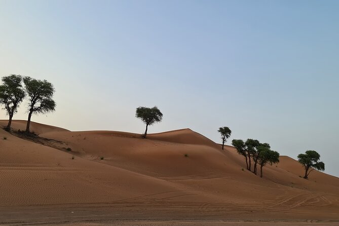 Dubai Desert 4x4 Dune Bashing, Self-Ride 30min ATV Quad, Camel Ride,Shows,Dinner - Sandboarding, camel riding, and the camp stop