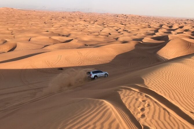 Dubai Desert 4x4 Safari with Camp activities & BBQ Dinner - Who will enjoy this safari most