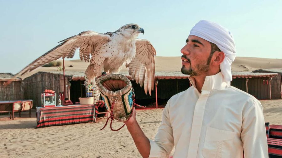Dubai Desert Adventure: Red Dunes Guided Quad/Polaris & BBQ - Should you book it?