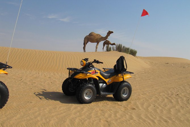 Dubai Desert Afternoon Quad Safari with Camel Ride, BBQ Dinner and Belly Dancing - Is $120 good value for this Dubai safari?