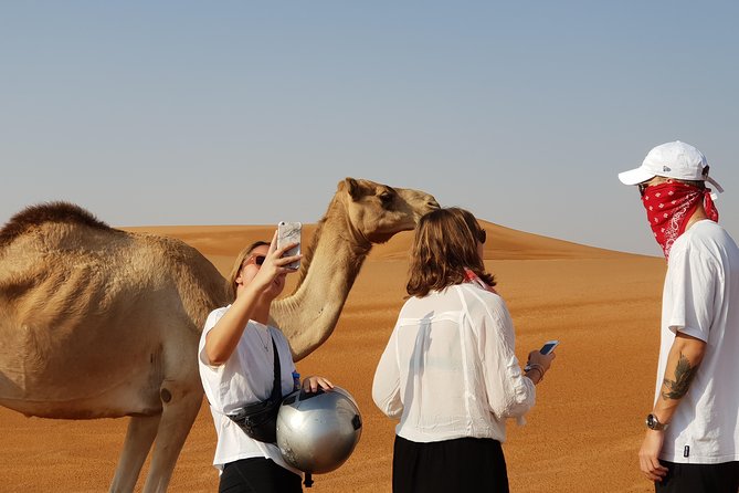 Dubai: Desert Camel Ride with Live Shows & BBQ Buffet Dinner - From Dubai streets to the Red Dunes