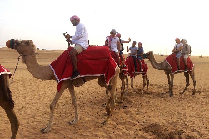 Dubai: Desert Camel Ride with Live Shows & BBQ Buffet Dinner - Guides make the difference