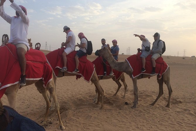 Dubai: Desert Camel Ride with Live Shows & BBQ Buffet Dinner - Booking details worth knowing