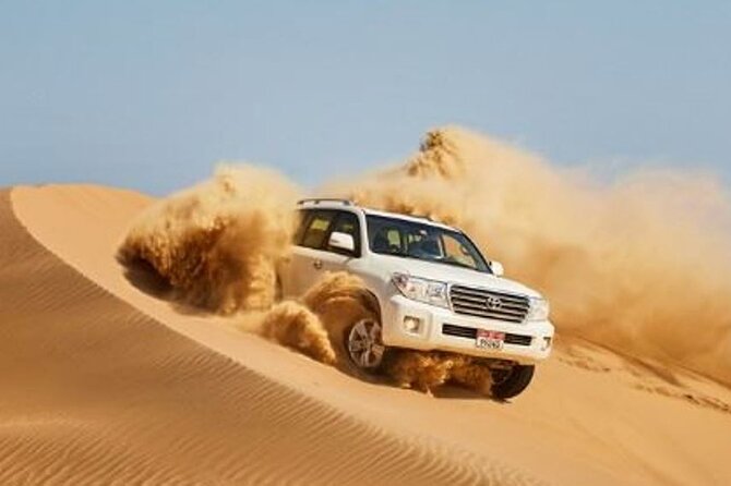 Dubai Desert Escape: Red Dunes Safari, Falcon, Camel & BBQ Dinner - Key points to know before you book