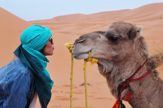 Dubai Desert Escape: Red Dunes Safari, Falcon, Camel & BBQ Dinner - Sunset is the best time for photographs