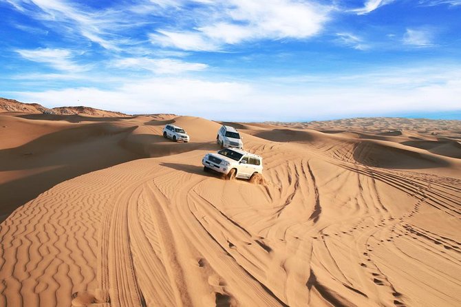 Dubai Desert Journey: Red Dunes Safari with BBQ in Bedouin Camp - BBQ dinner and three evening shows