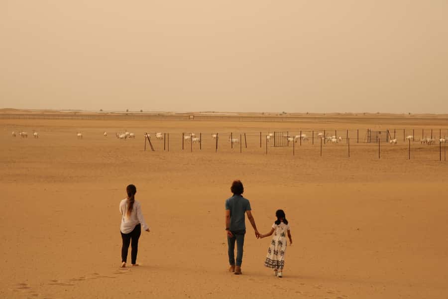 Dubai Desert Morning Drive with Wildlife Experience - Final call: is it worth booking?