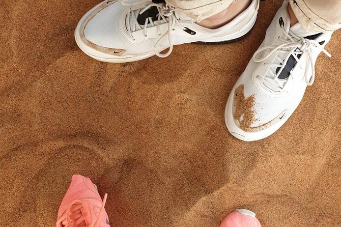 Dubai: Desert Safari 4x4 Dune with Camel Riding and Sandboarding - From Dubai streets to Lahbab’s red dunes