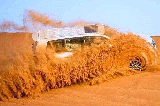 Dubai Desert Safari Adventure with Premium BBQ Dinner - Dune bashing in a professional Land Cruiser