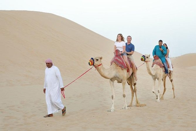 Dubai Desert Safari: An Arabian Desert Experience - Camel riding and sandboarding after the speed